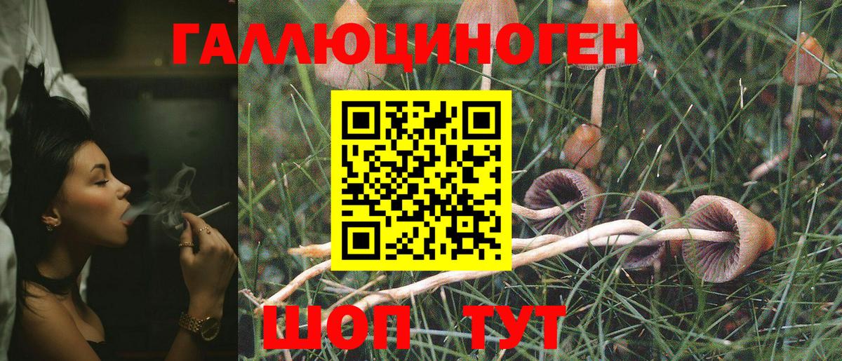 Гусев  Галлюциногенные грибы Magic Shrooms  Вход с VPN 
