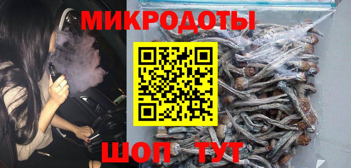 Галлюциногенные грибы Cubensis Гусев